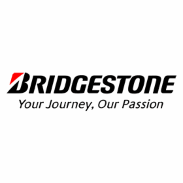 4 X 205/45R17 88Y XL BRIDGESTONE POTENZA SPORT SOMMERREIFEN NEU – Bild 5
