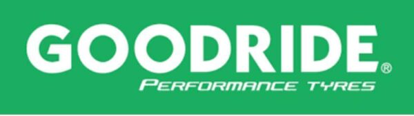 4 X 225/45R18 95W GOODRIDE Z-107 SOMMERREIFEN NEU #13LH – Bild 5