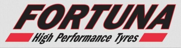4 X 215/70R15C 109R FORTUNA ECOPLUS VAN ALLWETTERREIFEN NEU #1LQH – Bild 7