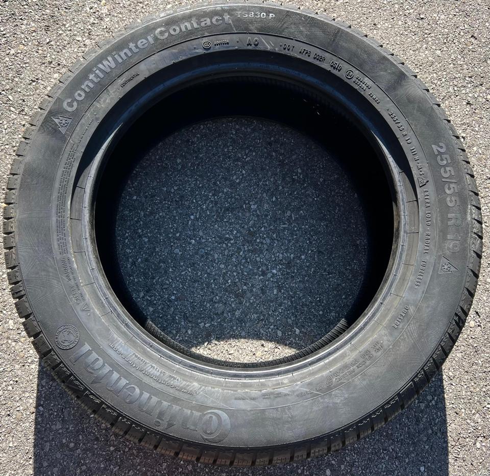 1 x 255/55R19 111H CONTINENTAL WINTER CONTACT TS830P NEU #1XQW – Bild 3